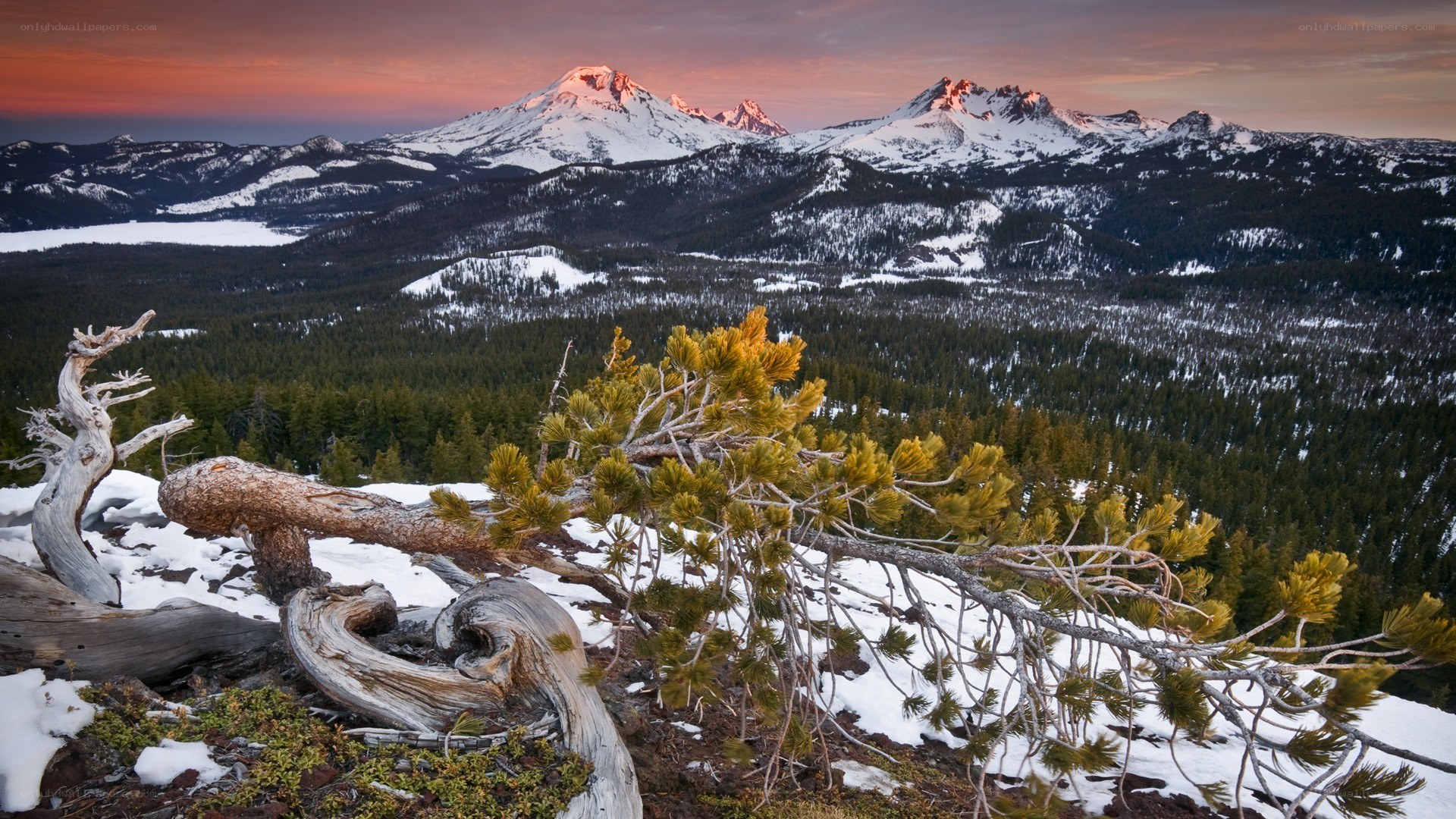Snowy mountains at sunset