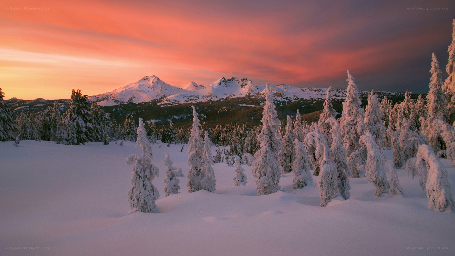 Snowy mountains at sunset