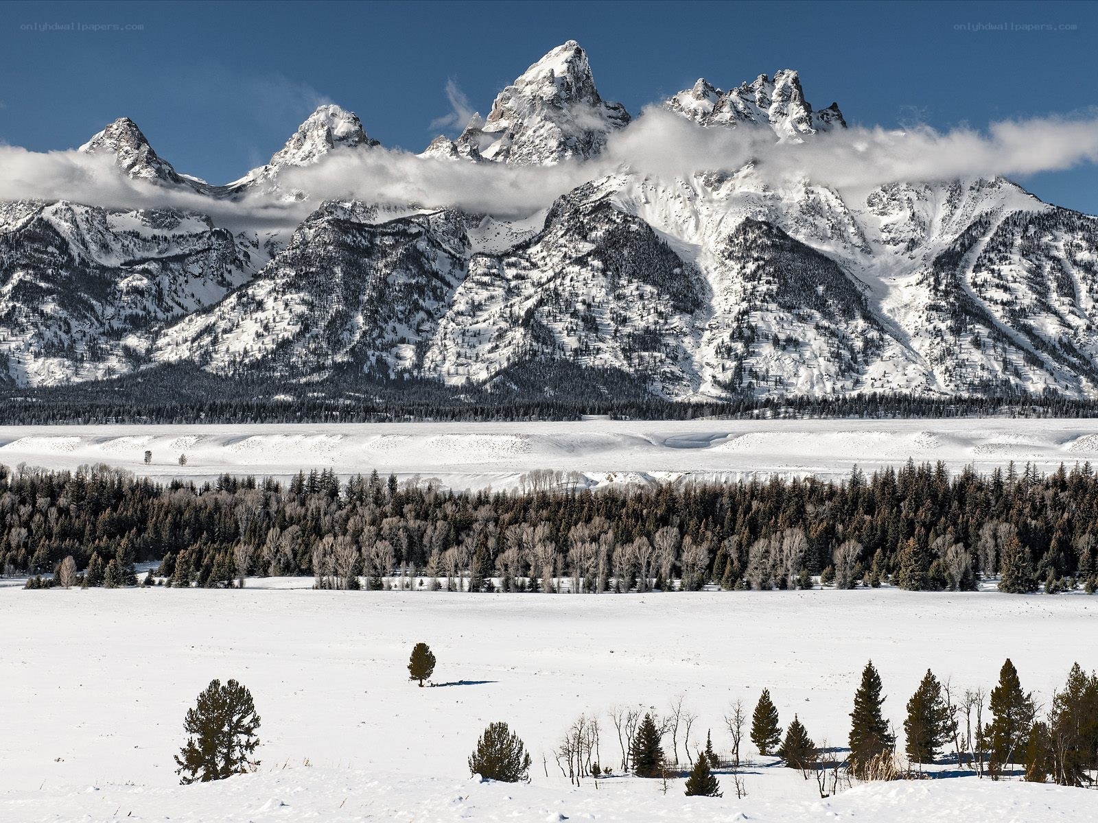 Snowy mountains in winter