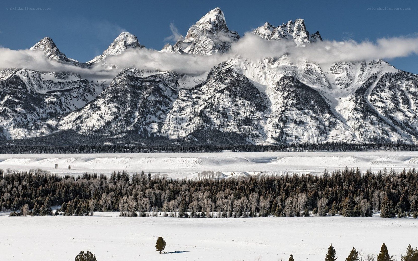 Snowy mountains in winter