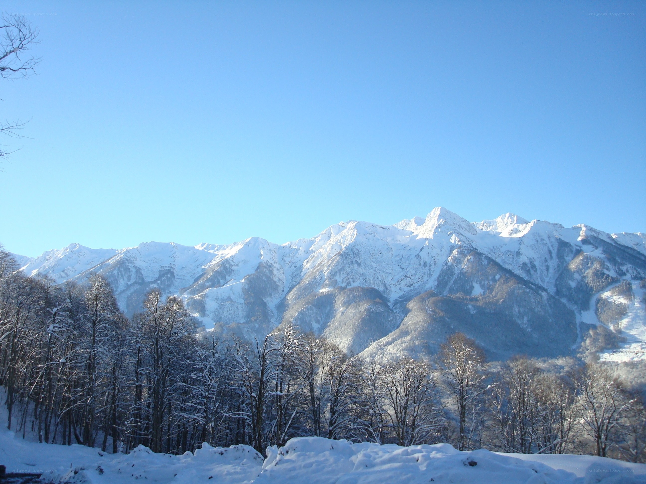 Snowy mountains under clear sky