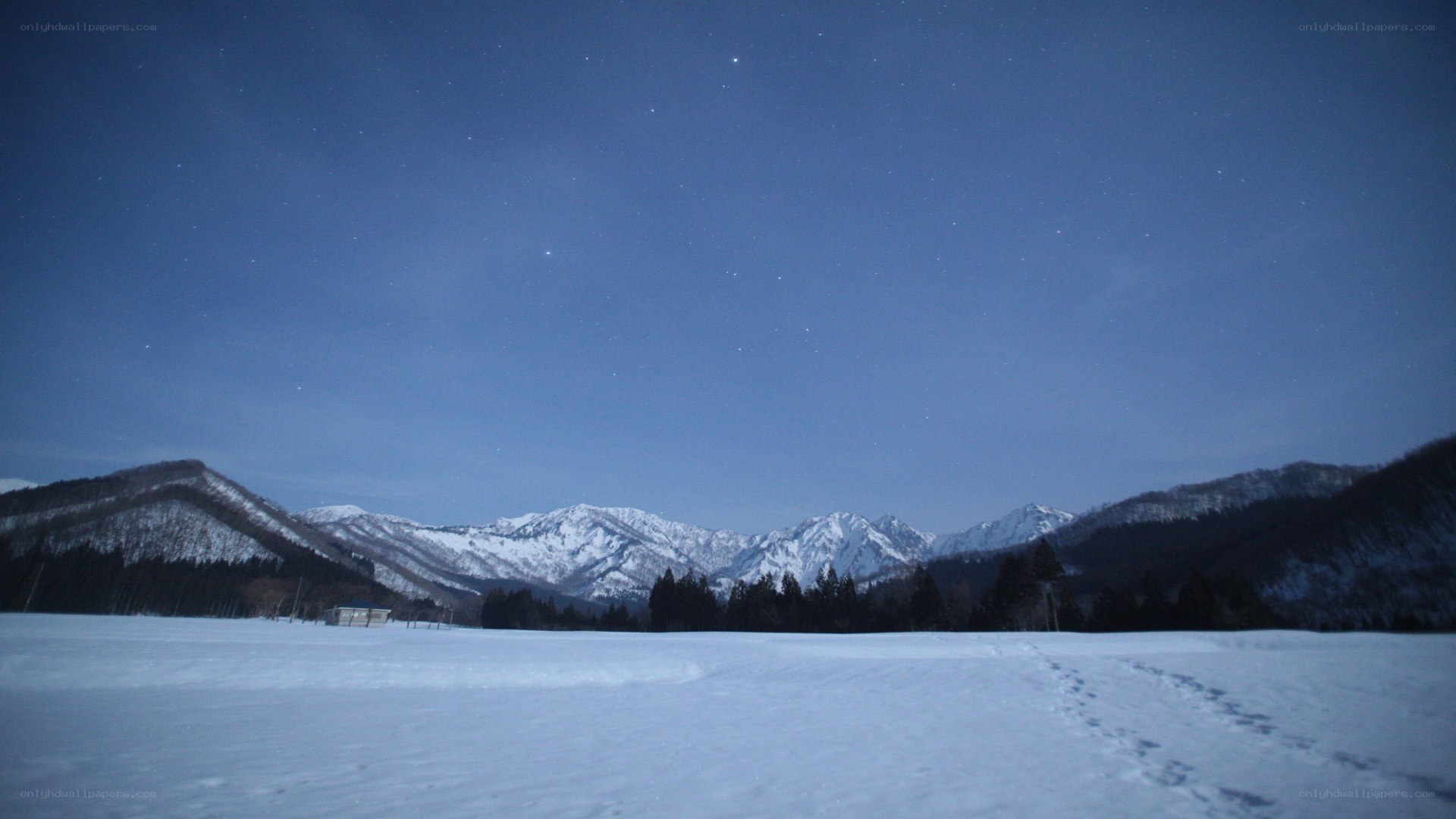 Snowy mountains under starry sky