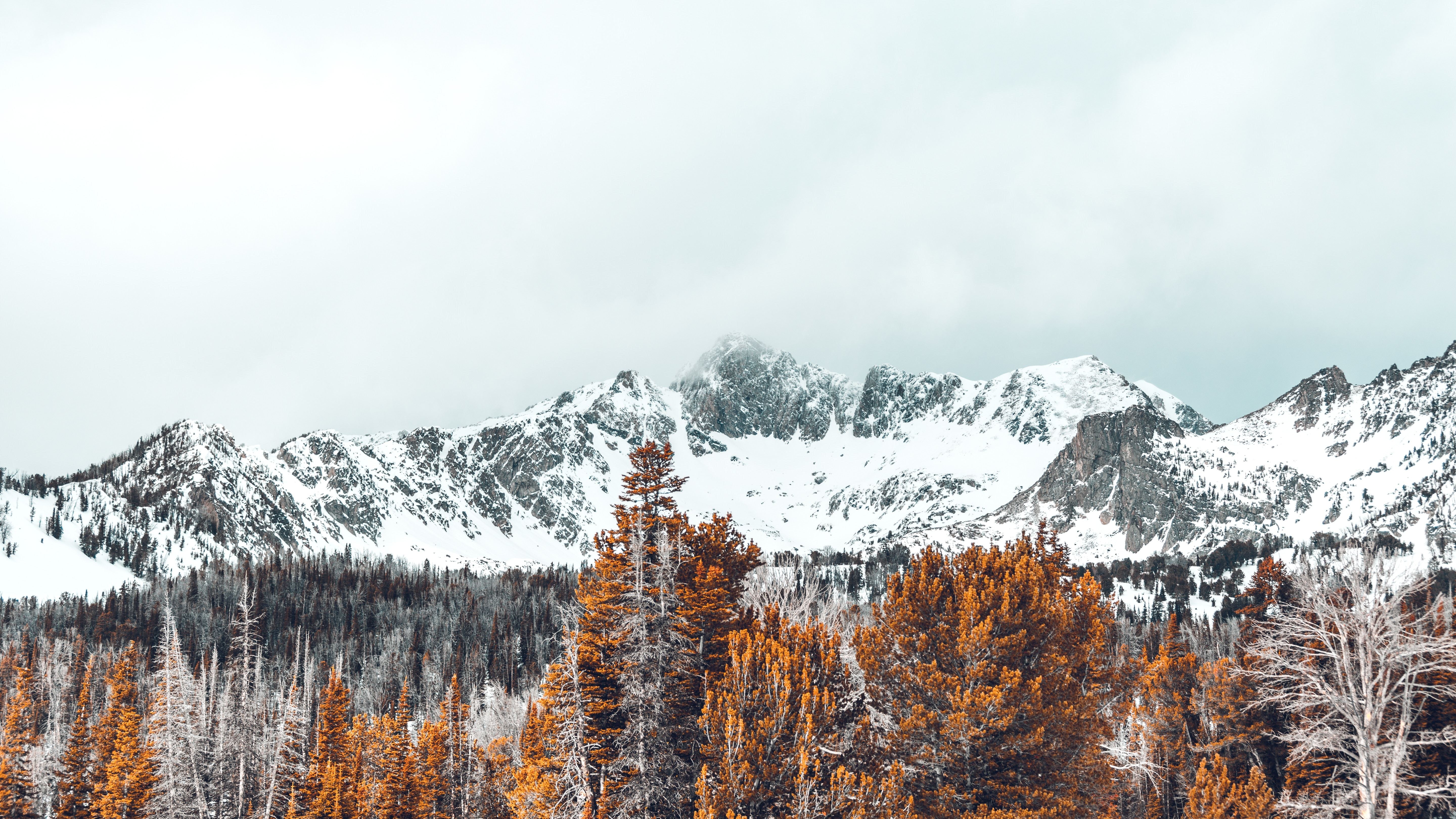 Snowy mountains with autumn trees