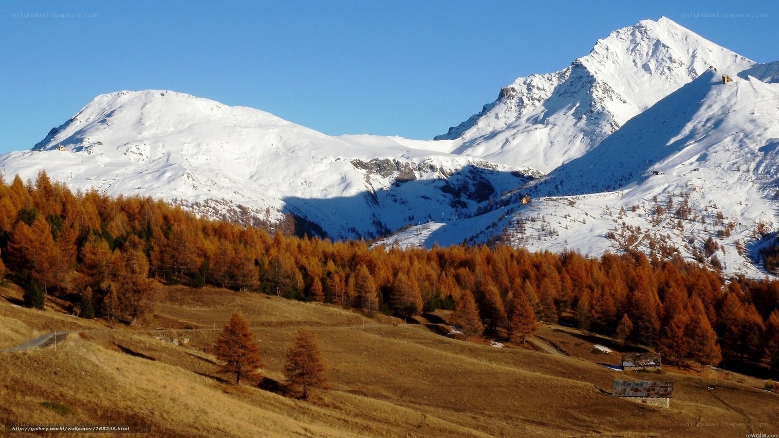 Snowy mountains with autumn trees