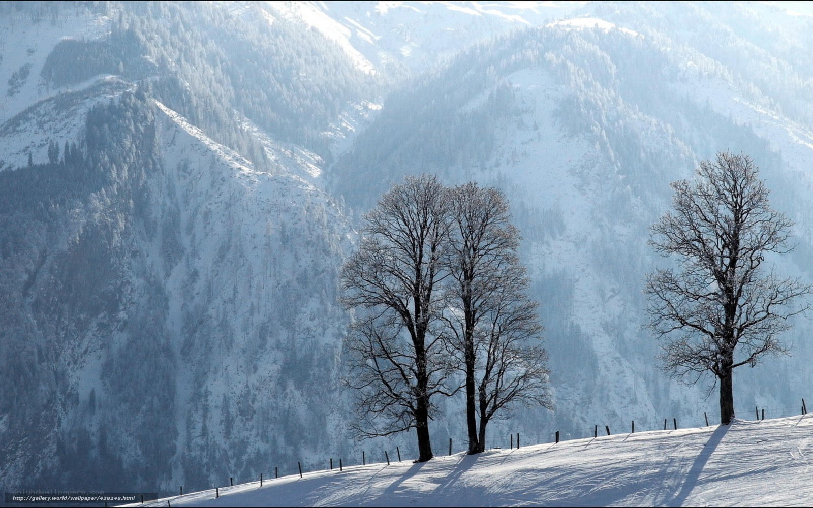 Snowy mountains with bare trees