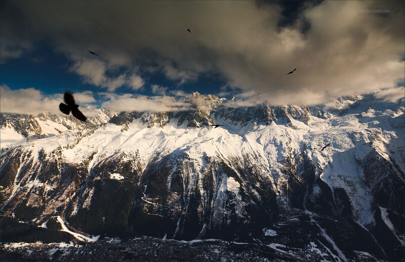 Snowy mountains with flying birds