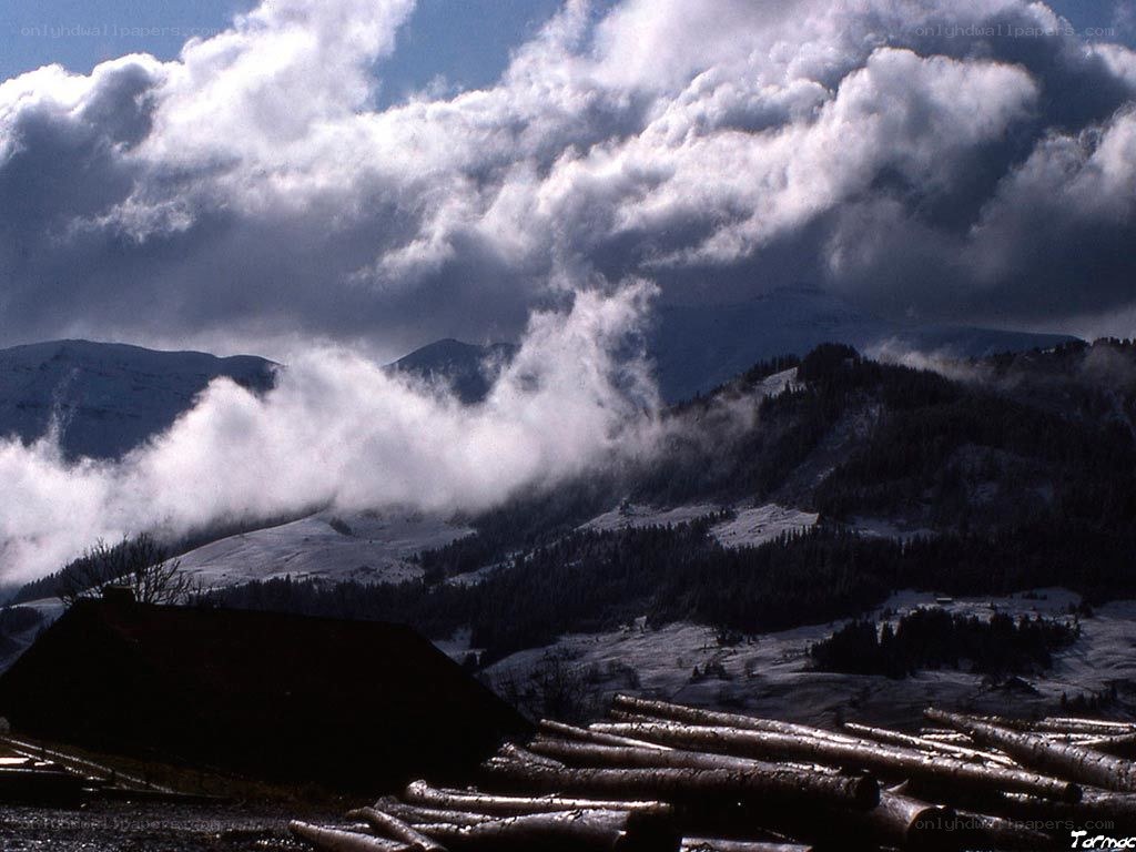 Snowy mountains with logs