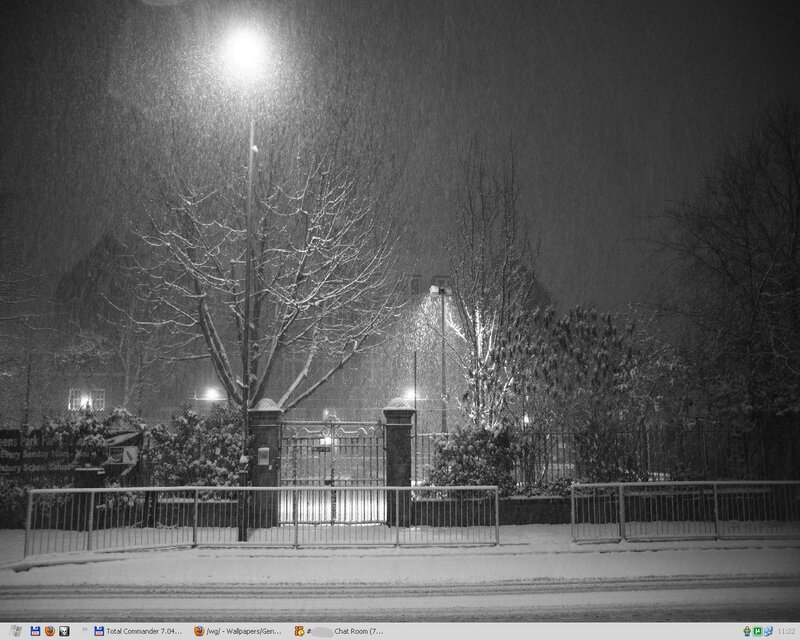 Snowy Night at the Park