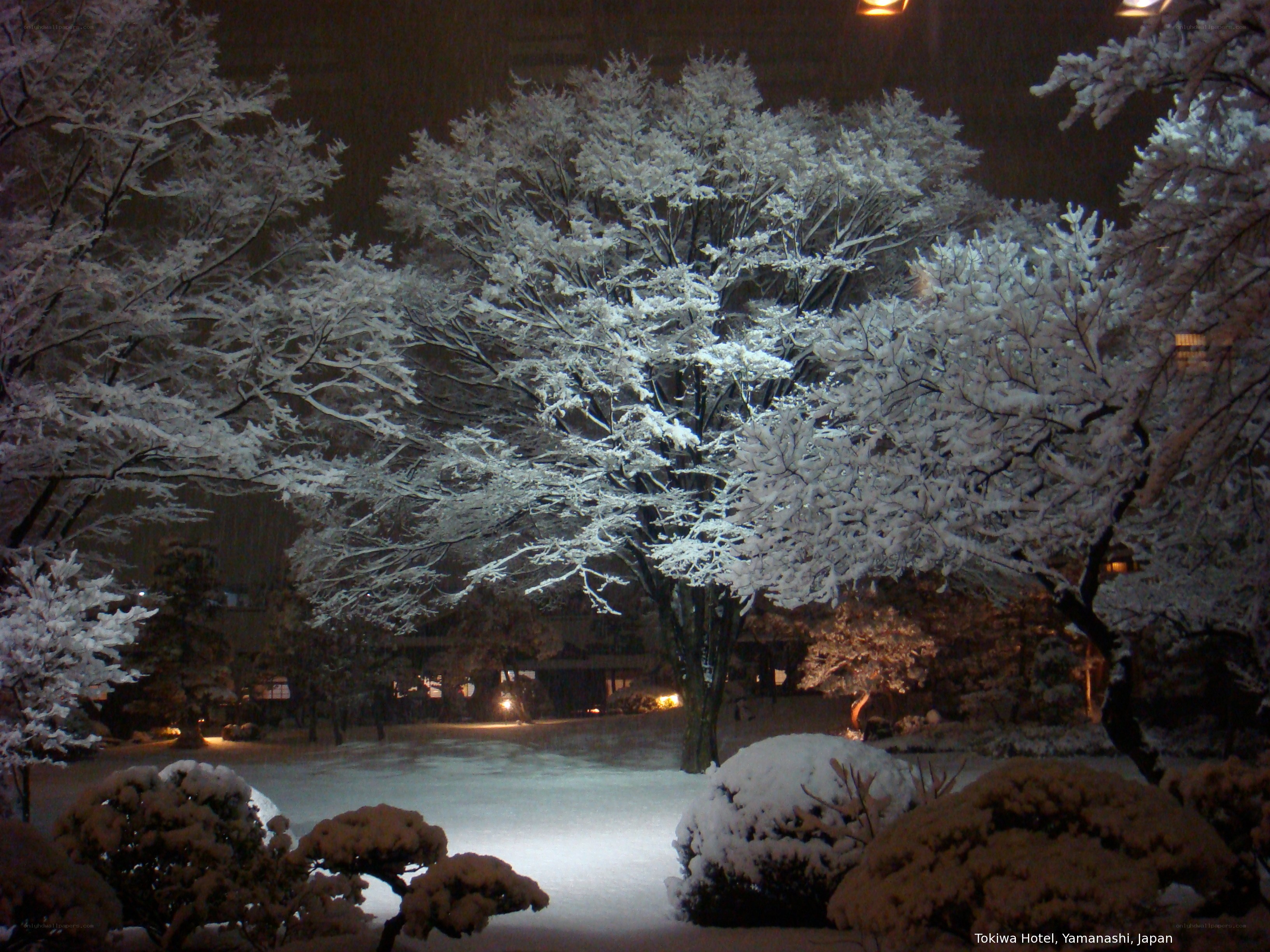 Snowy night at Tokiwa Hotel