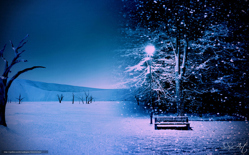 Snowy Night Bench Scene