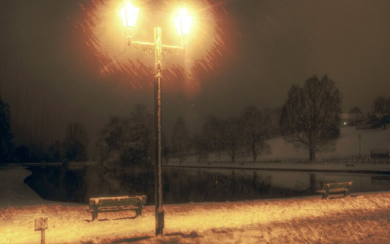 Snowy night by the pond