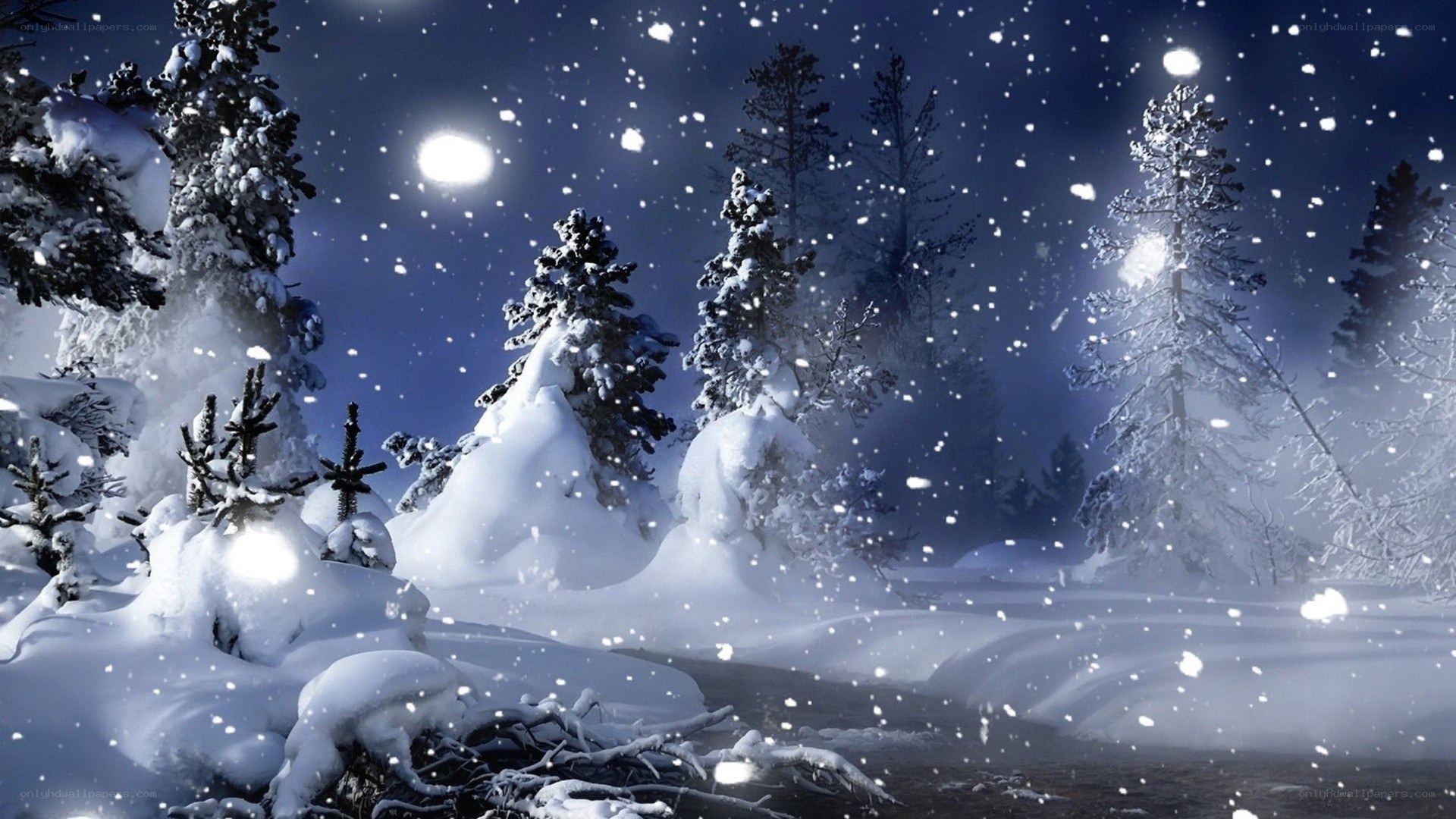 snowy night forest scene