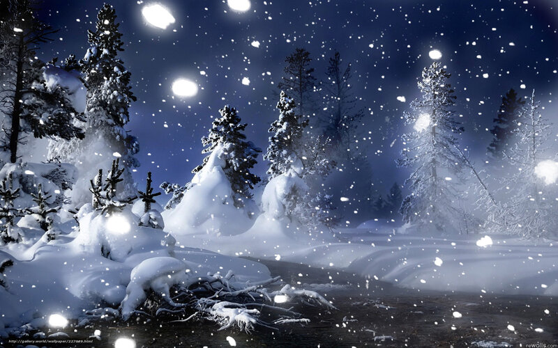 Snowy Night Forest Scene