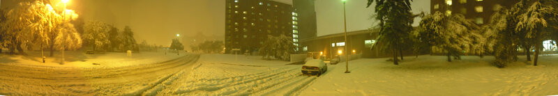 Snowy night in a city park