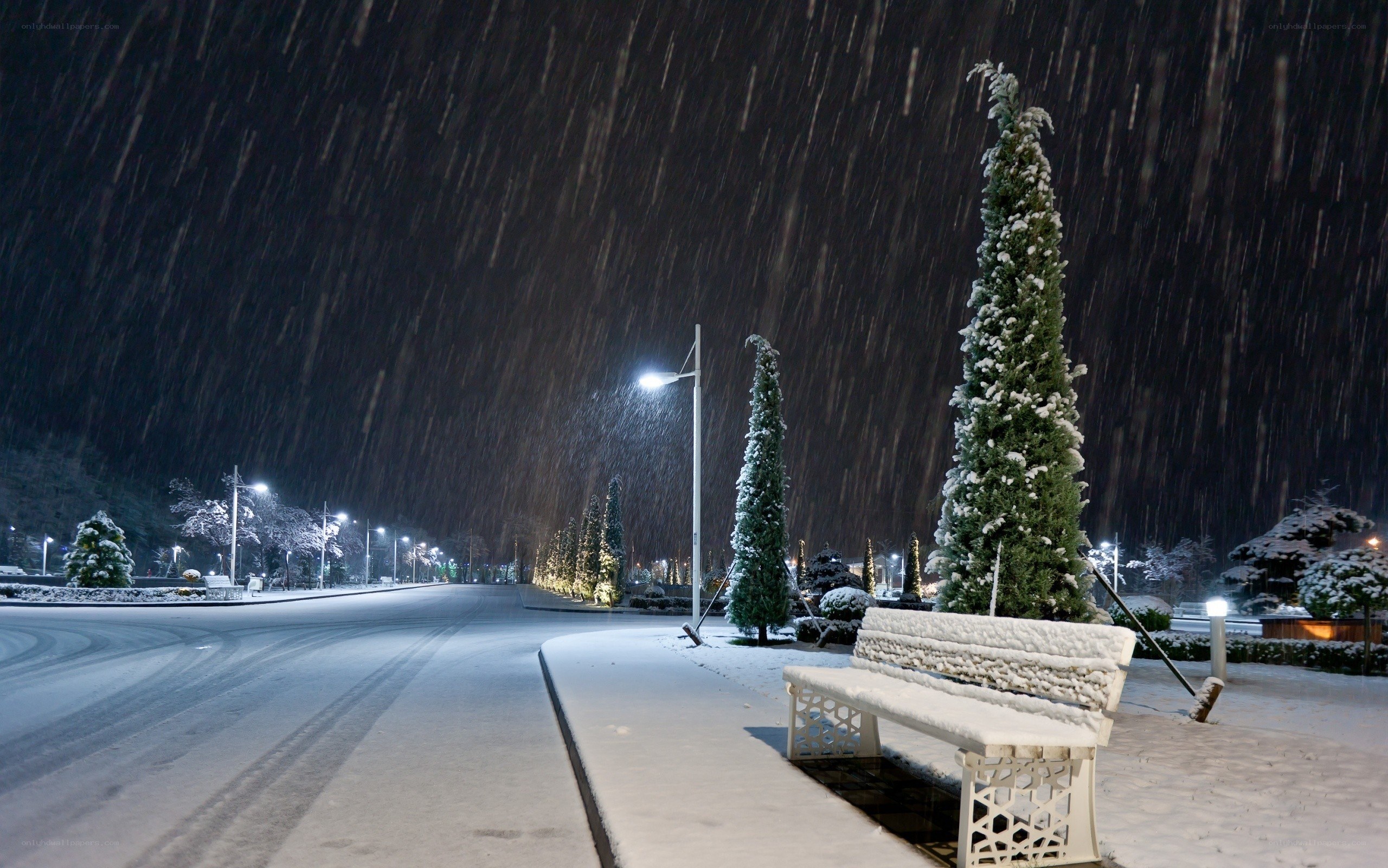 Snowy night in a park