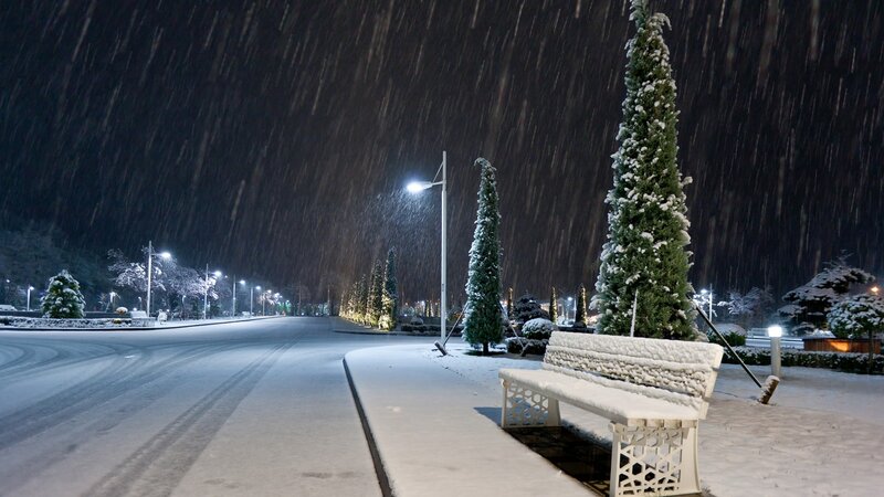 Snowy night in a quiet park