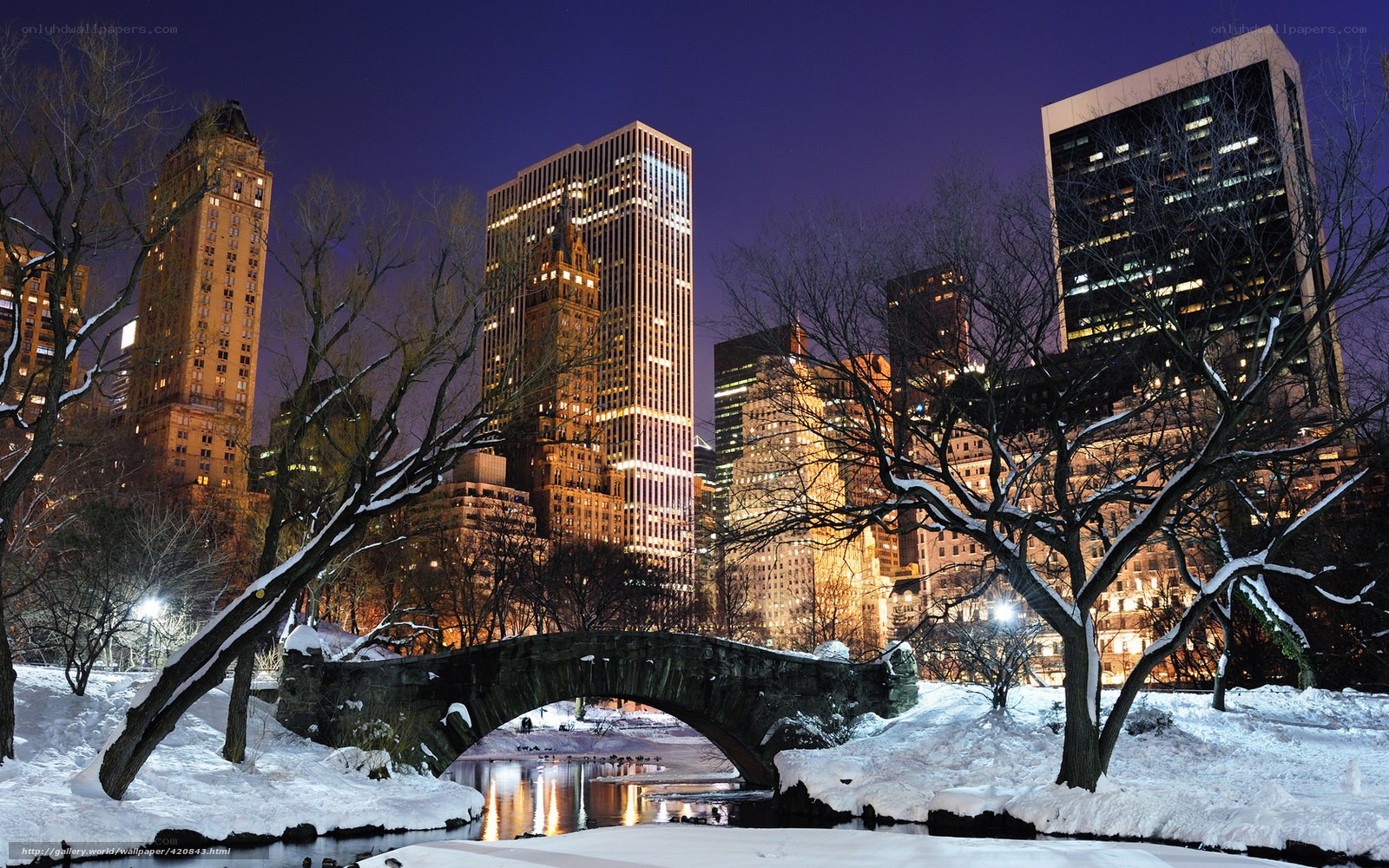 Snowy night in Central Park