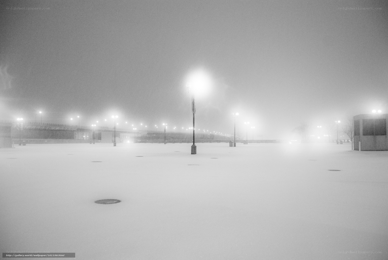 Snowy night in the city