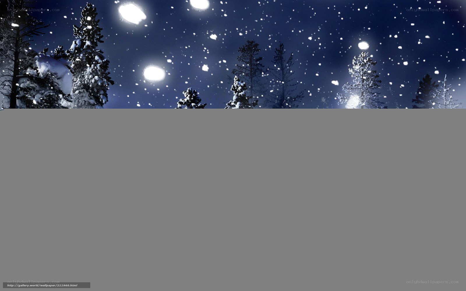 Snowy Night in the Forest