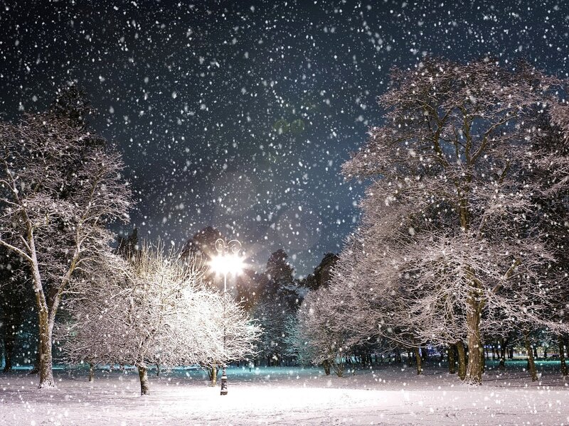 Snowy night in the park