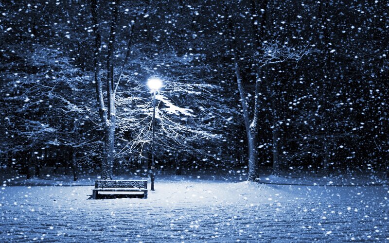 Snowy night in the park