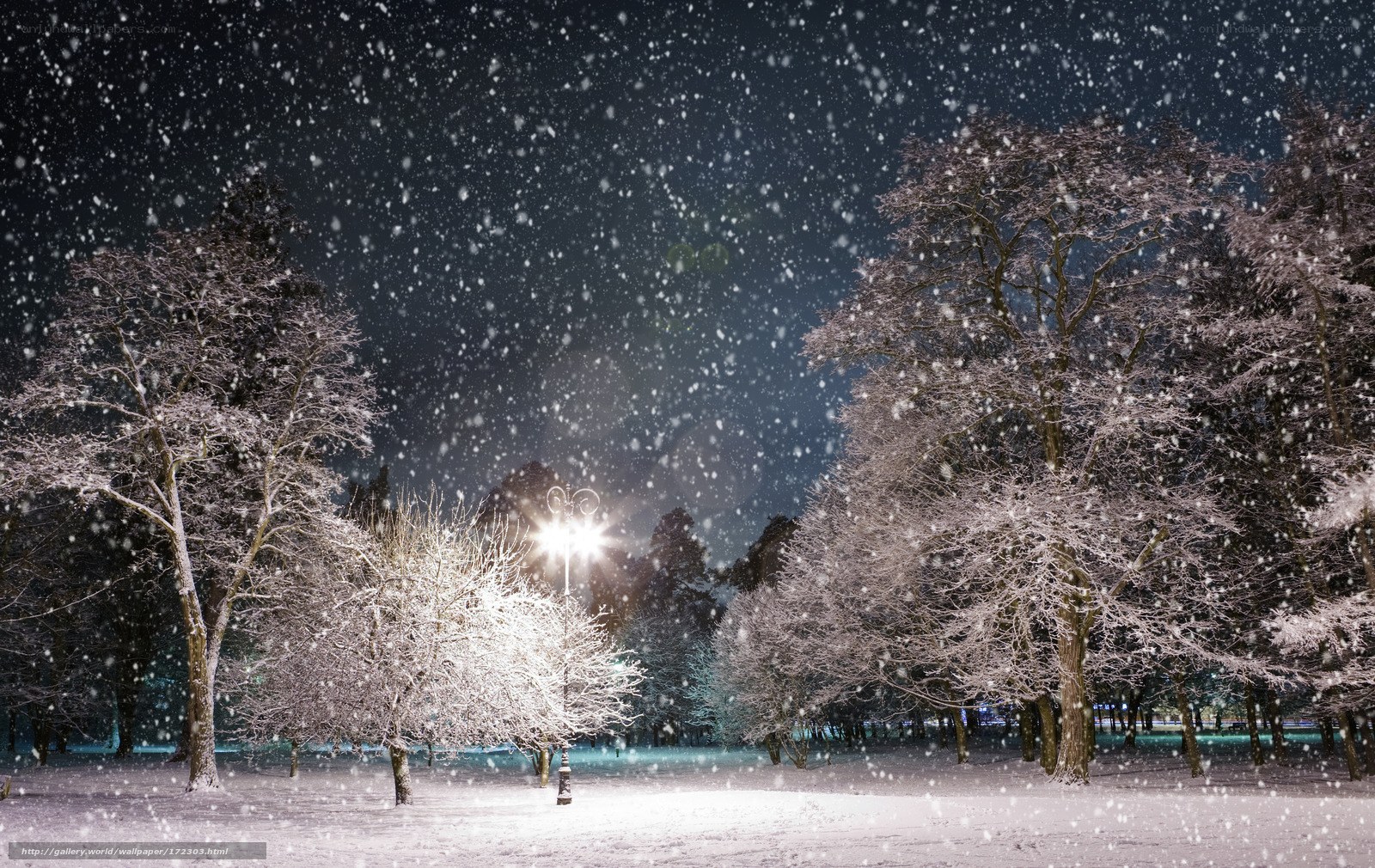 Snowy Night in the Park