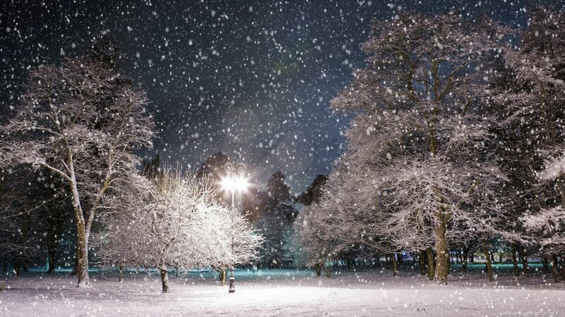 Snowy night in the park