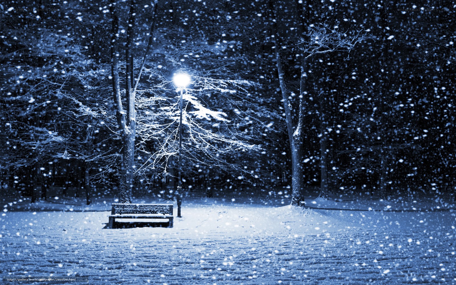Snowy Night in the Park