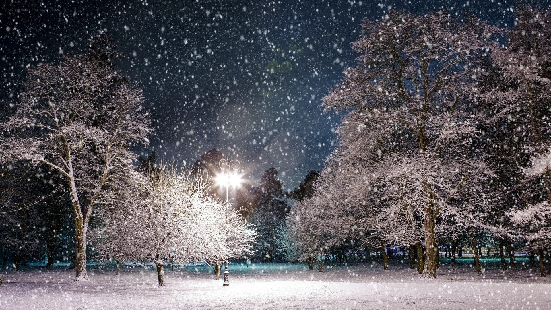 Snowy night in the park