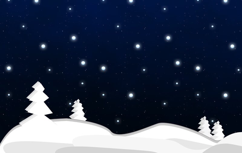 snowy night landscape
