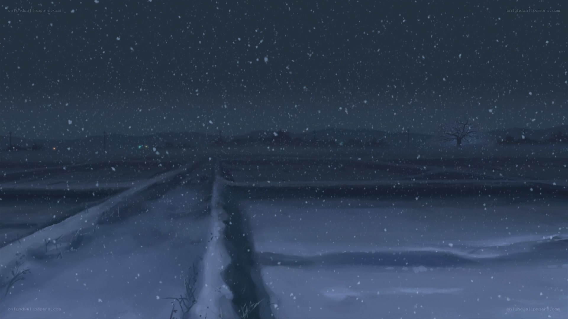snowy night landscape