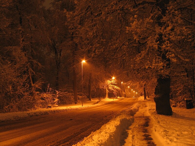 Snowy night on a forest road