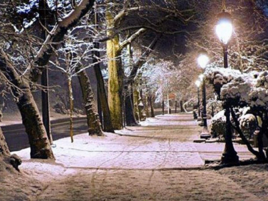 snowy night on a tree-lined street
