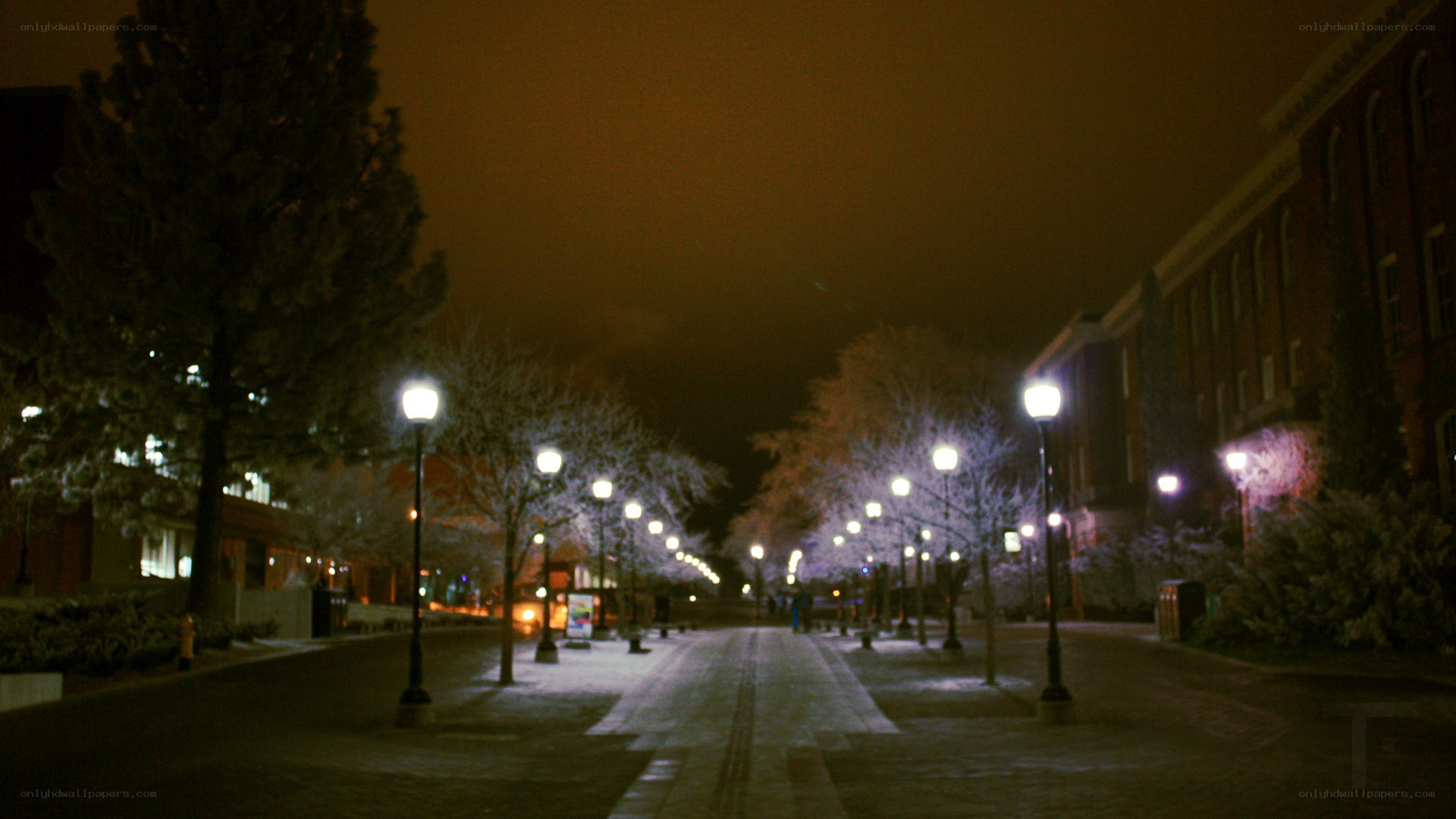 snowy night on campus