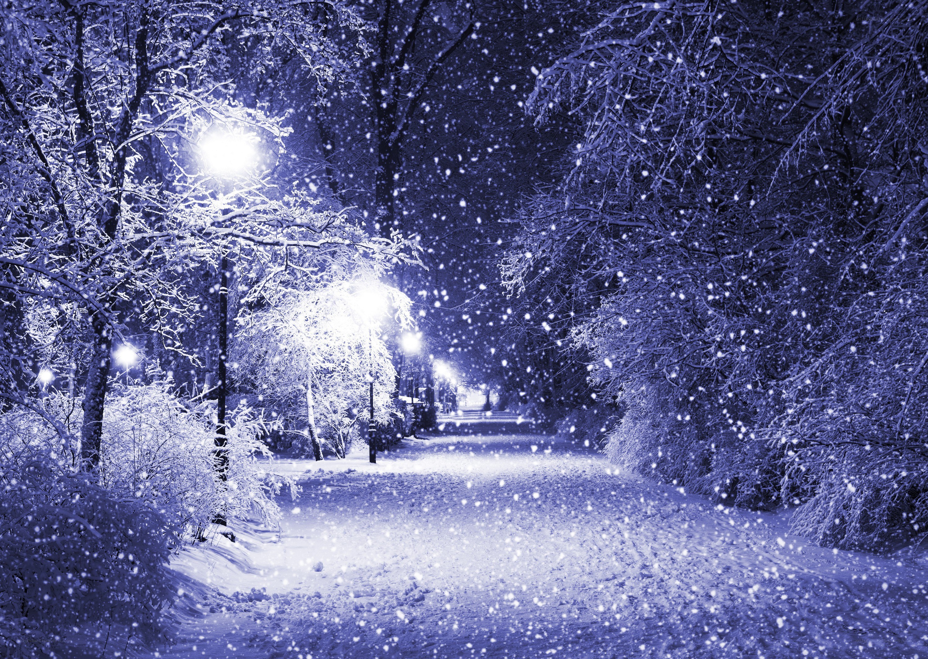 Snowy Night Path