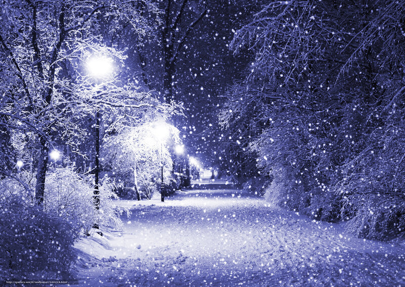 Snowy Night Path