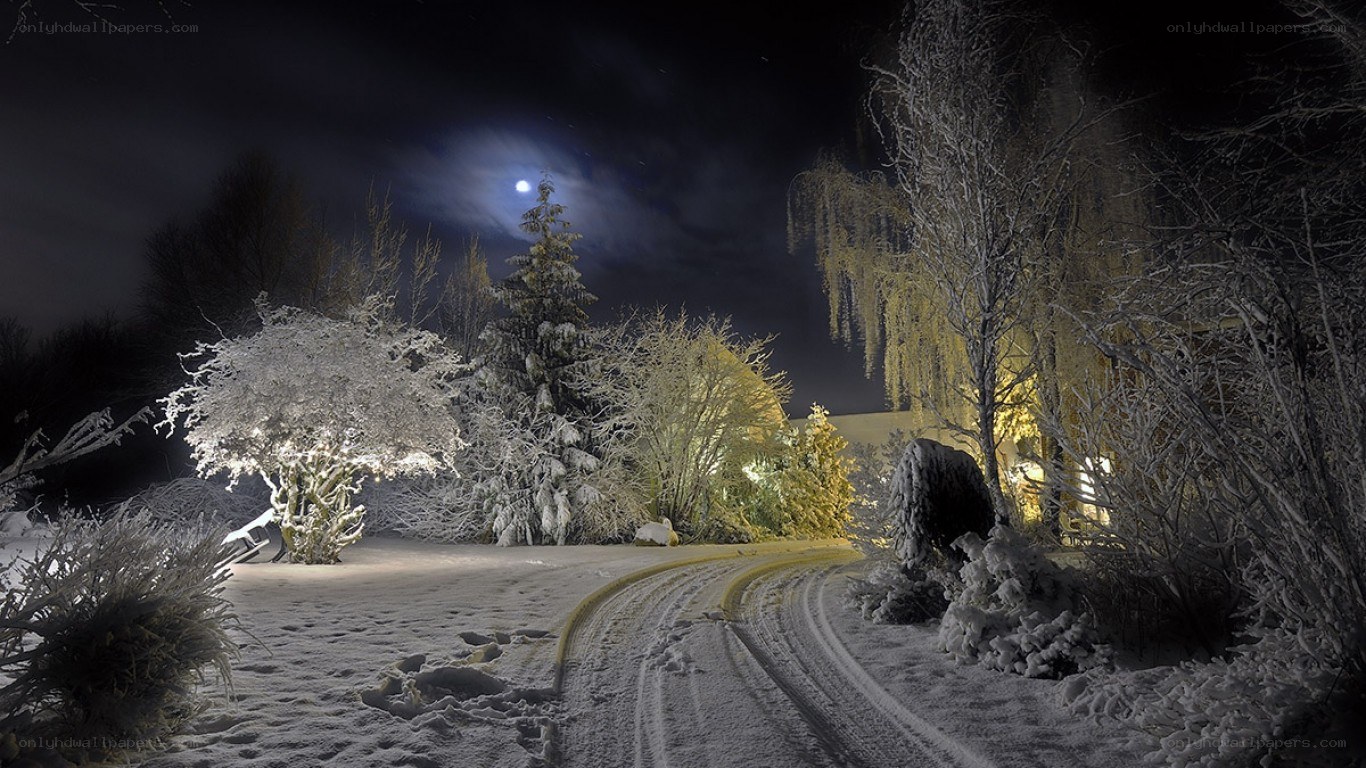 Snowy night path under moonlight