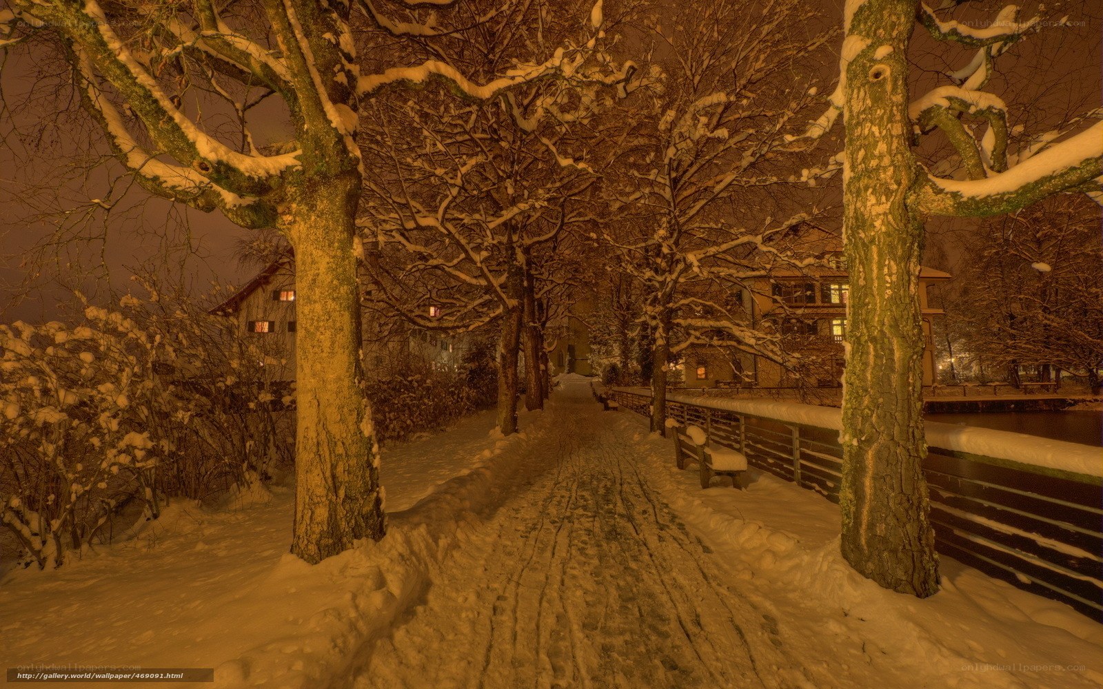 Snowy Night Pathway