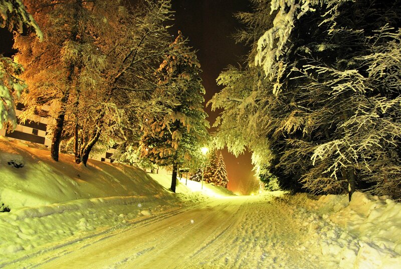 Snowy night road in forest
