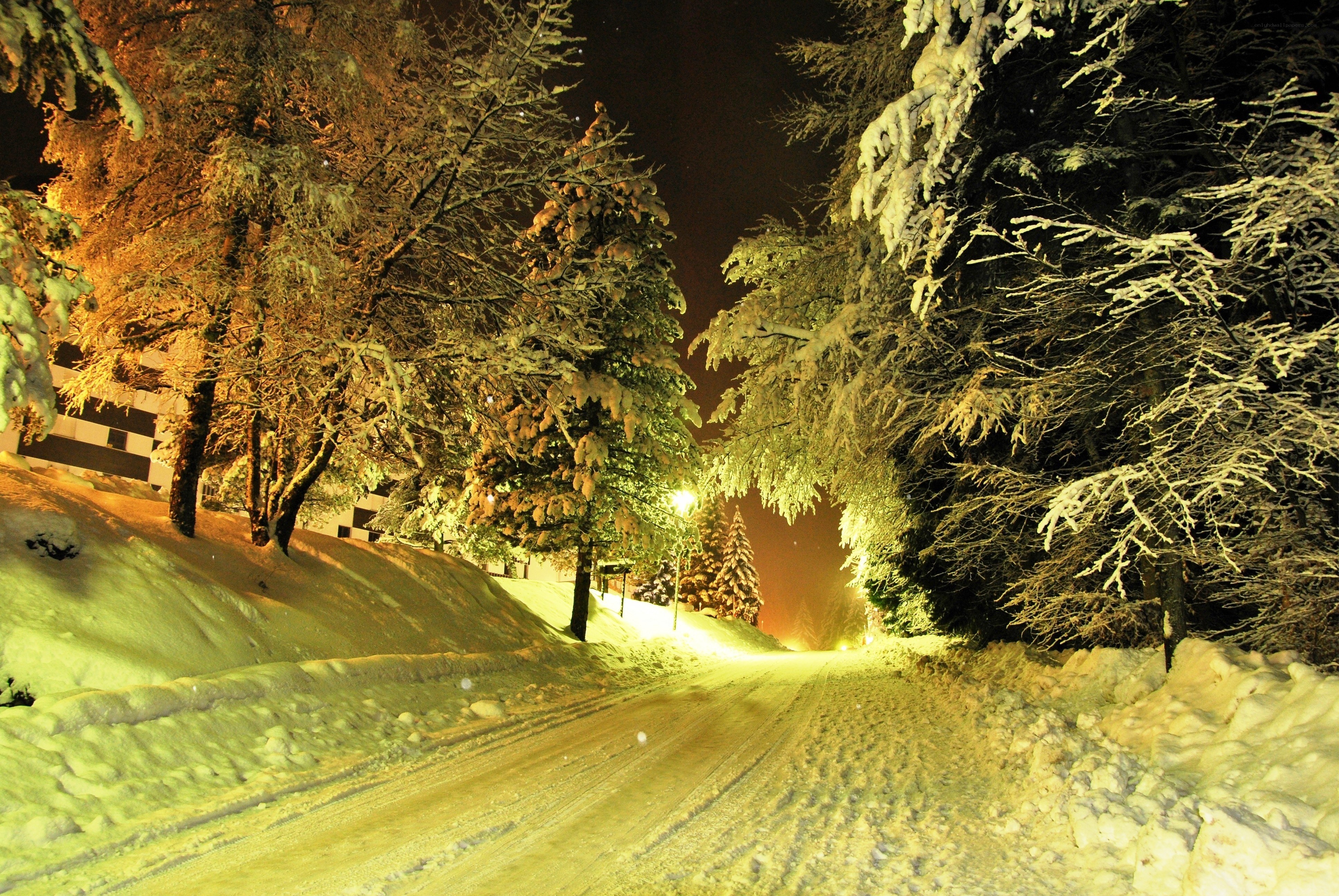 Snowy night road in forest