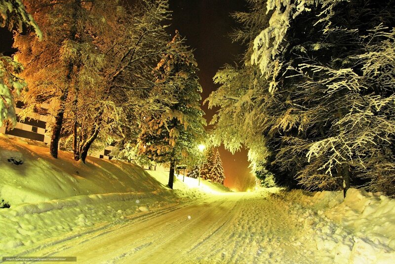 Snowy Night Road