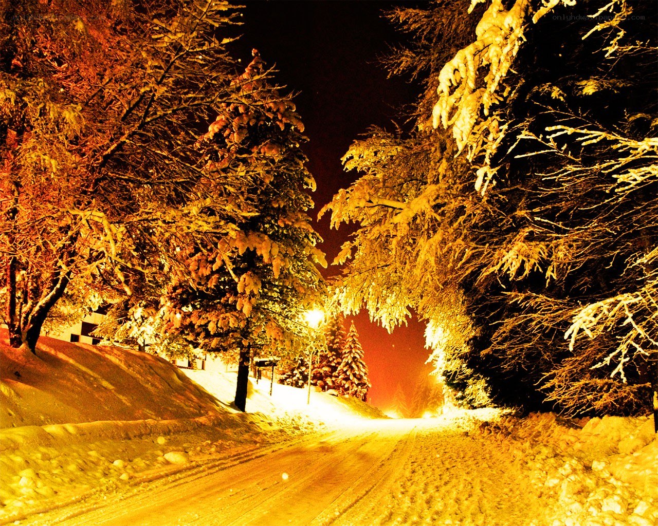 snowy night road with streetlights