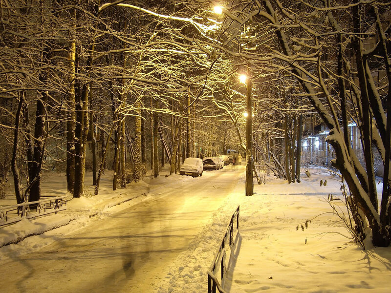 Snowy Night Street in a Park