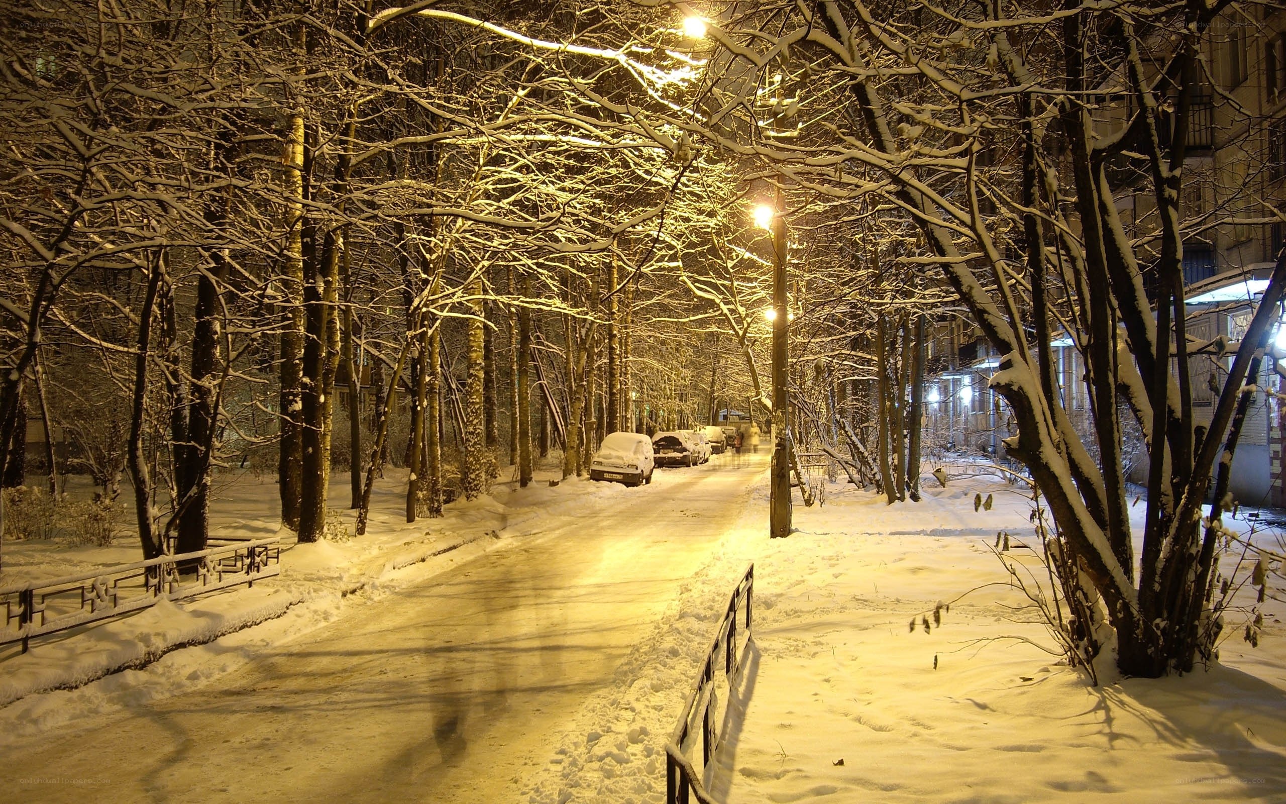 Snowy night street scene
