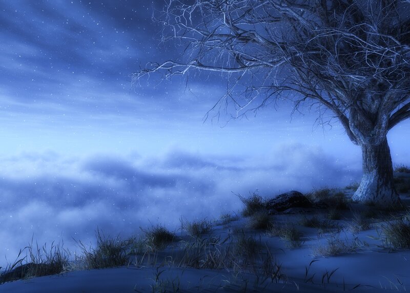 Snowy night with bare tree