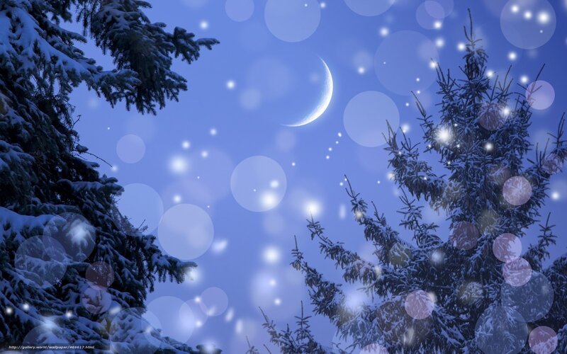Snowy night with crescent moon