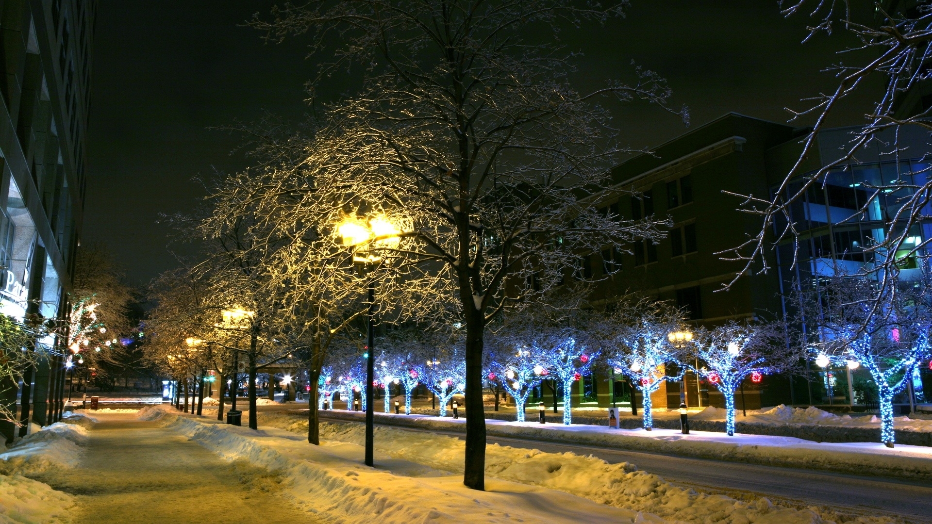 Snowy night with decorated trees