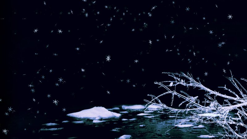 Snowy night with falling snowflakes