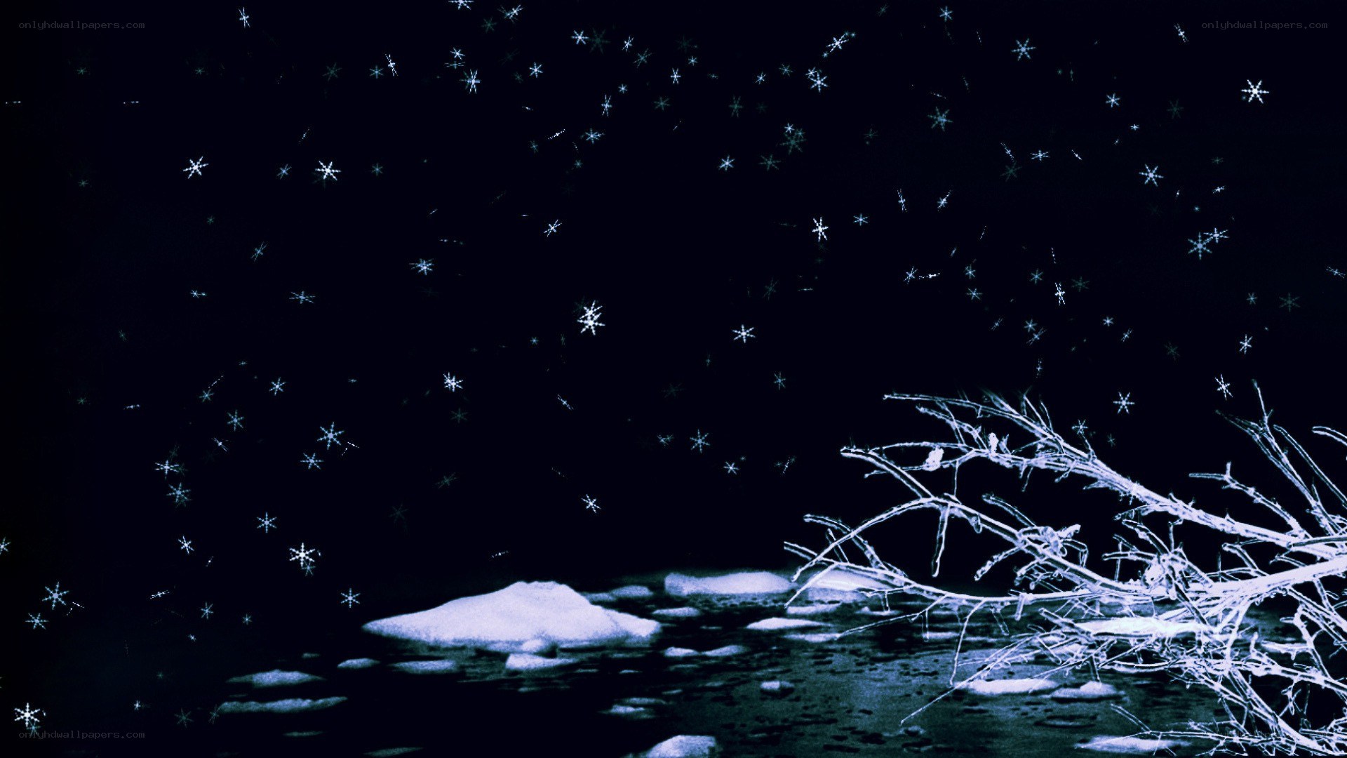 Snowy night with falling snowflakes