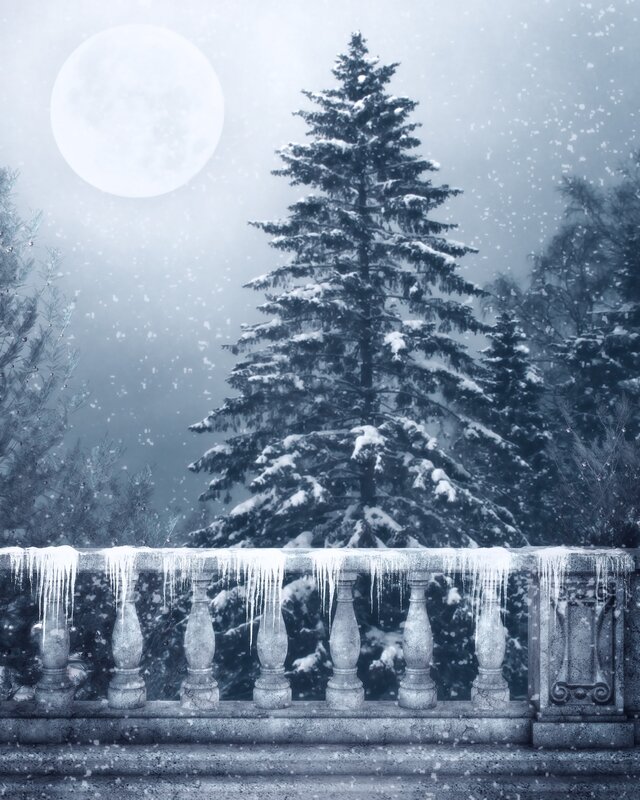 Snowy night with full moon